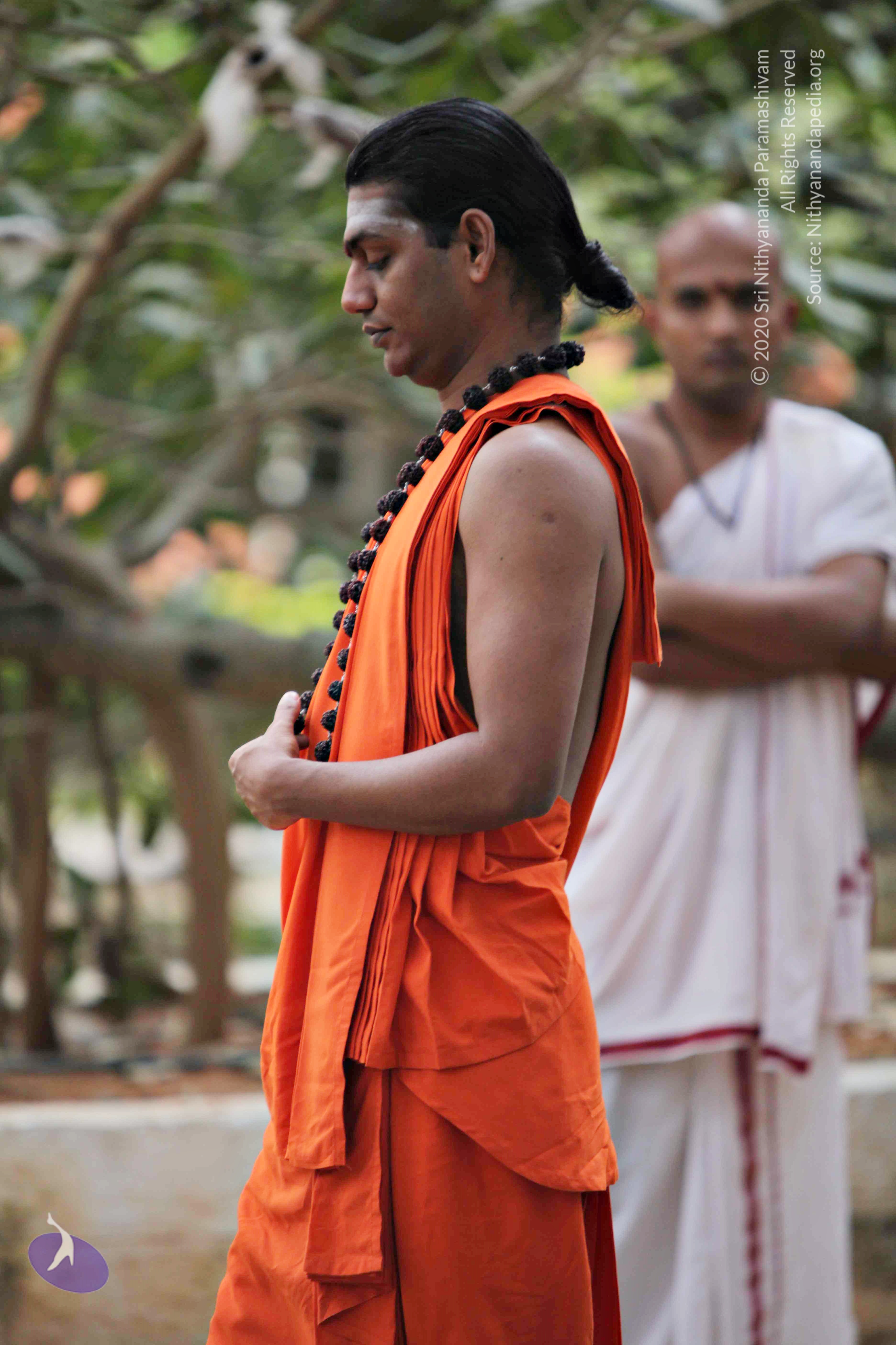 20110225_Photo_1103_IMG_0792_CMP_WM